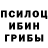 Псилоцибиновые грибы мухоморы Jhelum Mukherjee