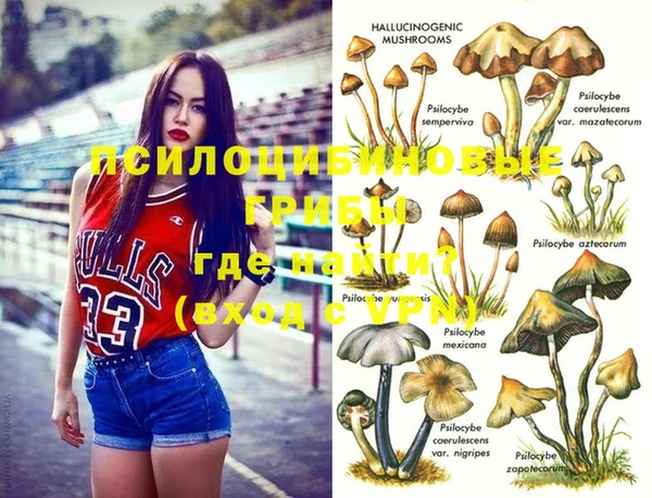 гашик Алзамай