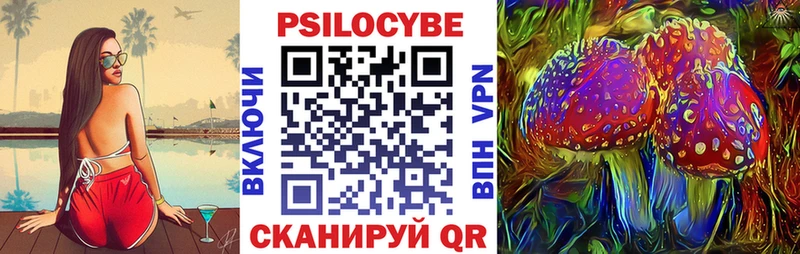 Псилоцибиновые грибы Psilocybe  кракен вход  darknet Telegram  Курганинск 